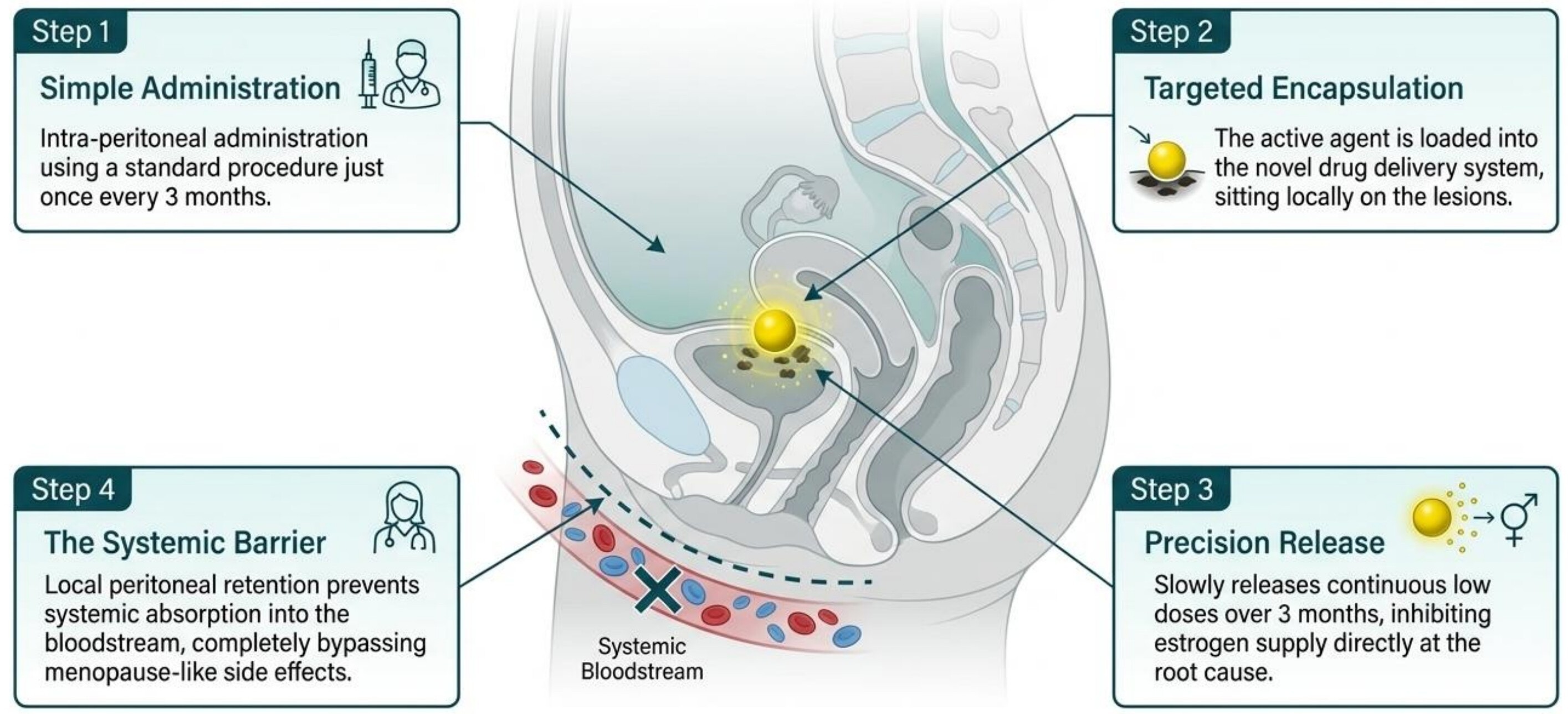 Diagram showing Endospot's four-step approach: simple intra-peritoneal administration, targeted encapsulation on lesions, precision sustained release, and a systemic barrier preventing bloodstream absorption.